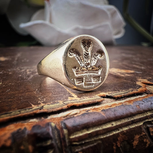 Lady chevalier vintage con sigillo Principe di Galles – Birmingham 1995