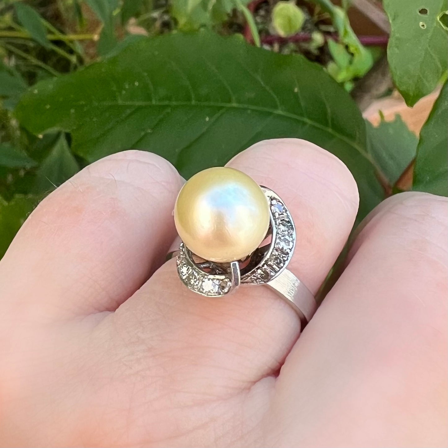 18K white gold pearl and diamond ring