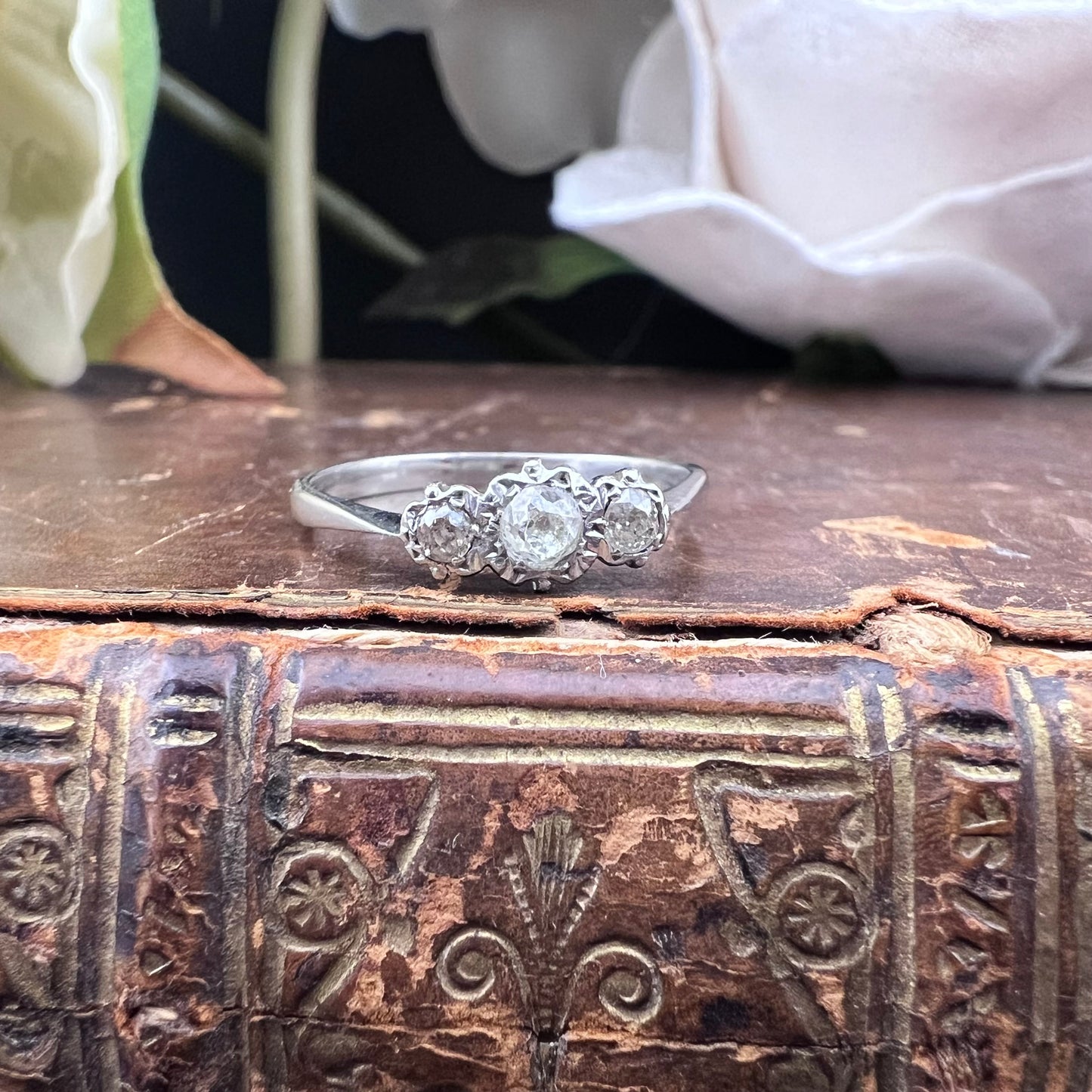 Trilogie-Ring mit Altminendiamanten