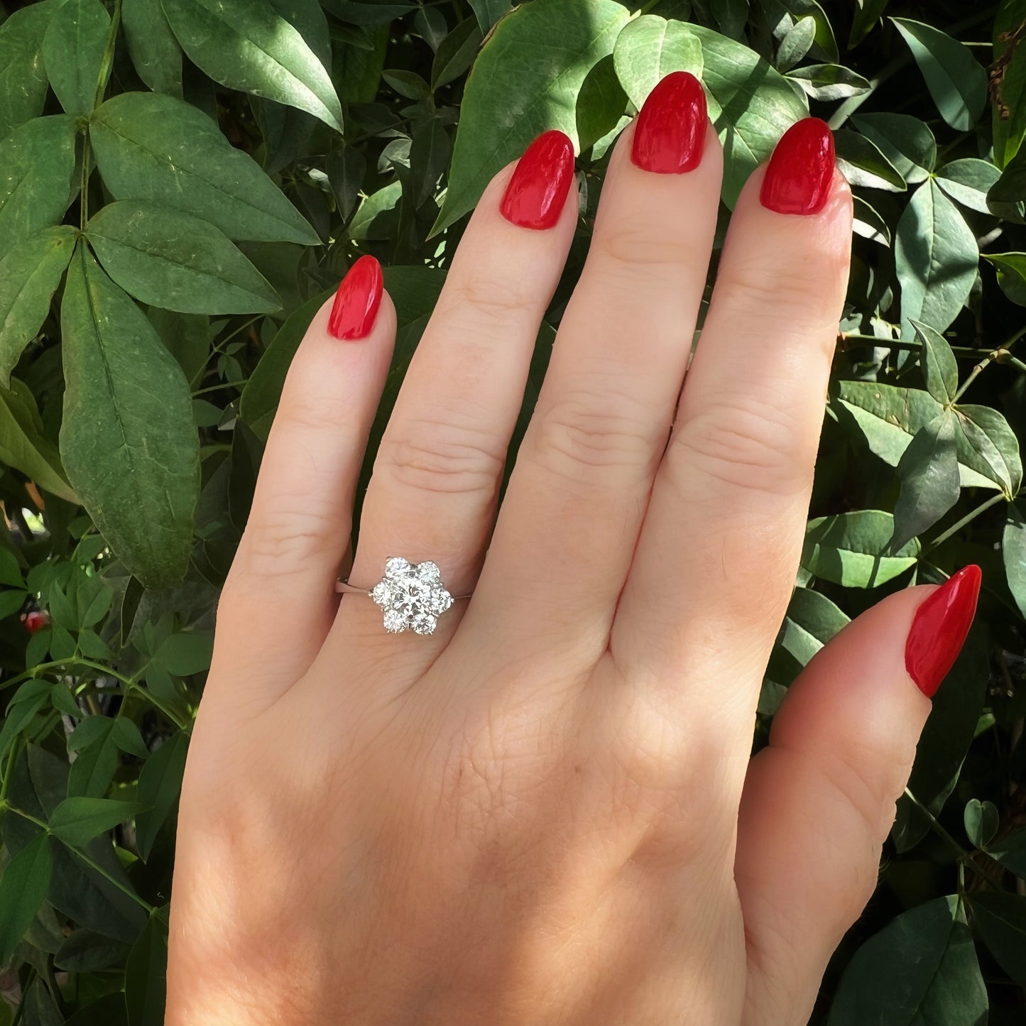 Gänseblümchenring aus 18 Karat Weißgold und Diamanten