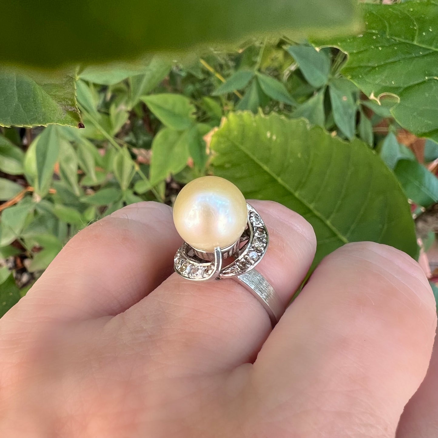 18K white gold pearl and diamond ring
