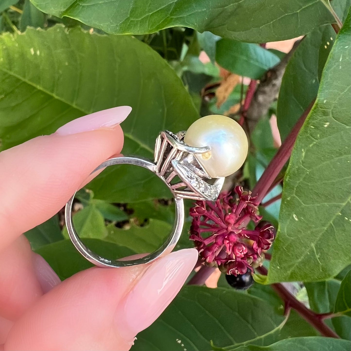 18K white gold pearl and diamond ring