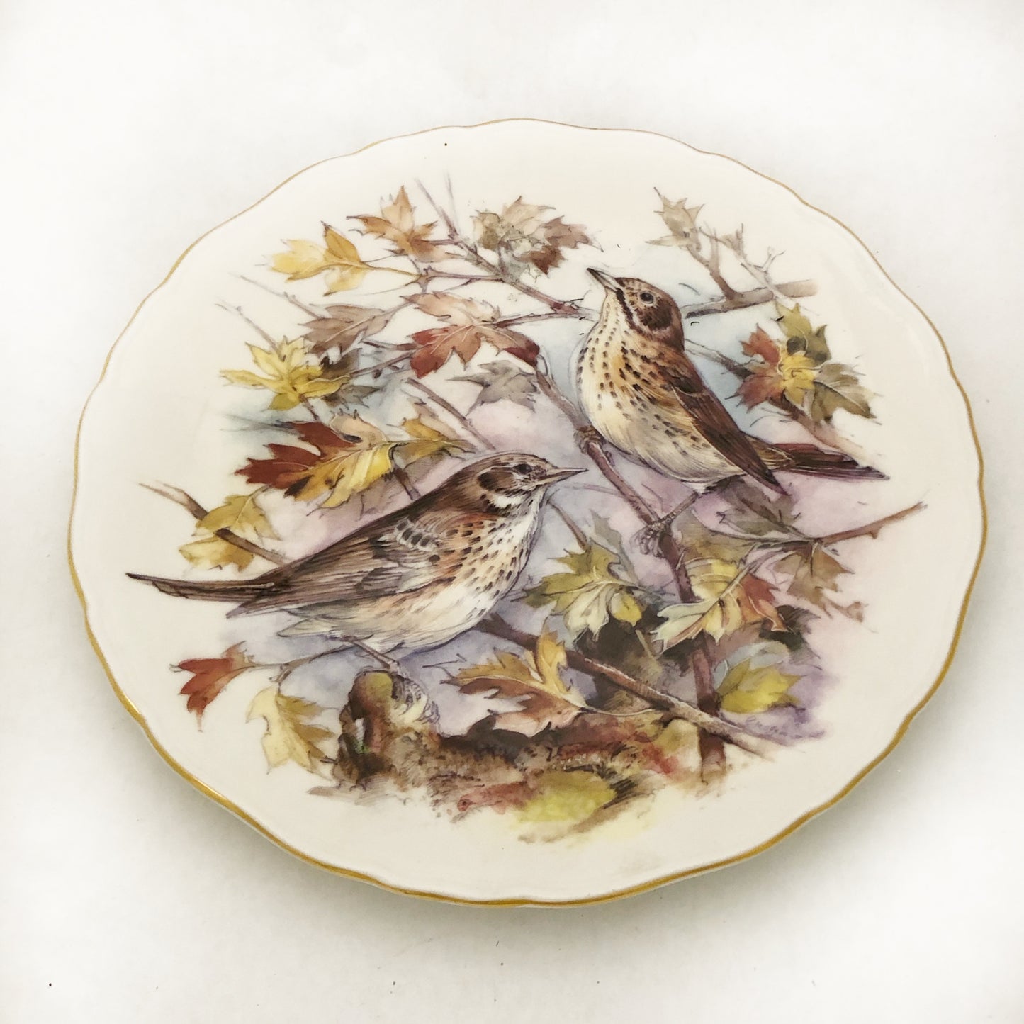 Vintage Royal Albert Vogelteller