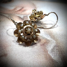Carica l&#39;immagine nel visualizzatore di Gallery, Coppia di orecchini a fiore in oro e perline
